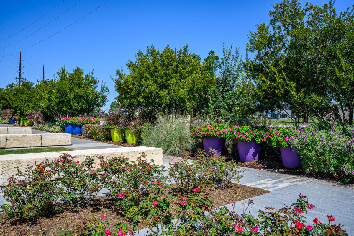 Rick Rice Park - Terry's Landscape | Katy, TX | Fort Bend County | West ...