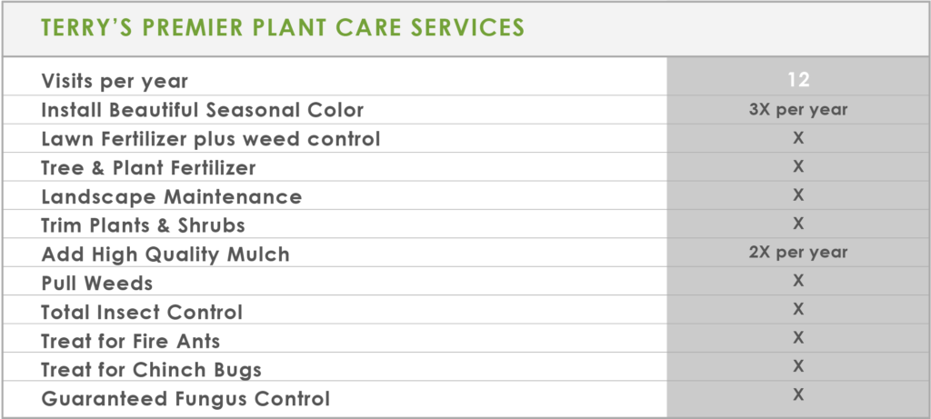 plant care